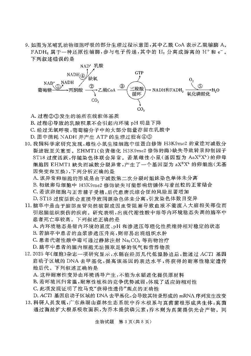 生物试卷湛江市2026年普通高考测试(一)第3页
