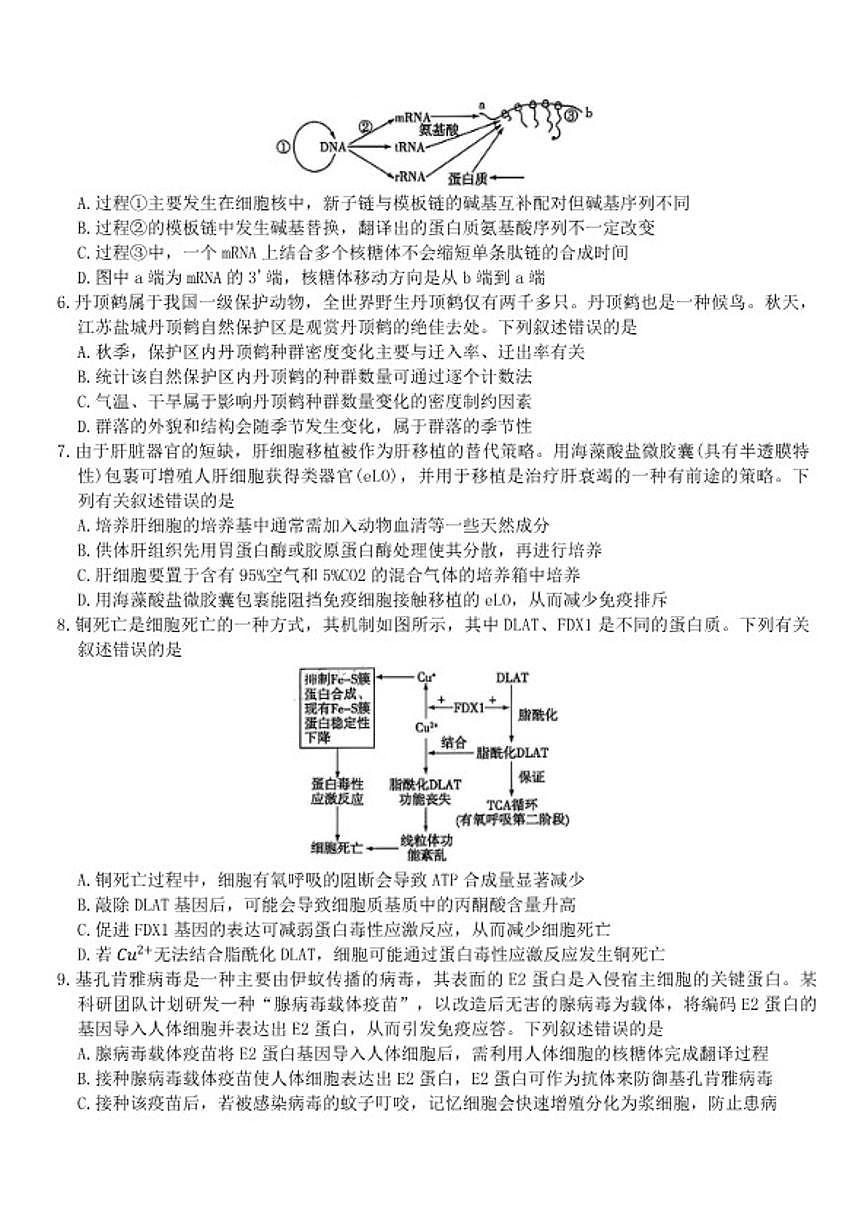 2025-2026年湖南省张家界市联考高三上生物学期末试卷(含答案)第2页