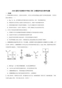 2026届四川省绵阳中学高三上学期第二次模拟考试生物试卷（含答案）