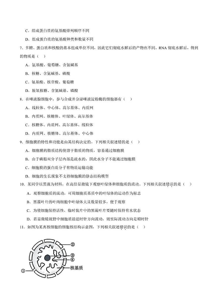 青海省西宁市大通回族土族自治县第二完全中学2025-2026学年高一上学期期中质量检测生物试卷(含答案)第2页