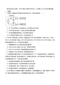 四川省内江市第一中学2025-2026学年高二上学期第二次月考（12月）生物试卷（含答案）