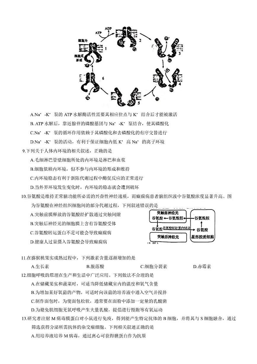 吉林省长春市2026届高三上1月质量监测(一)生物学试题(含答案)第3页