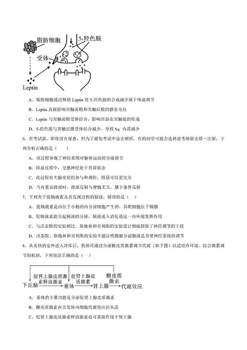 河北省邯郸市大名县第一中学2025-2026学年高二上学期12月月考生物试卷(含答案)第2页