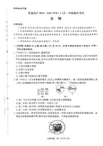河南省濮阳市普通高中2024-2025学年高一上学期11月期中考试生物试题（无答案）