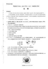 河南省濮阳市普通高中2024-2025学年高一上学期11月期中考试生物试题(无答案)
