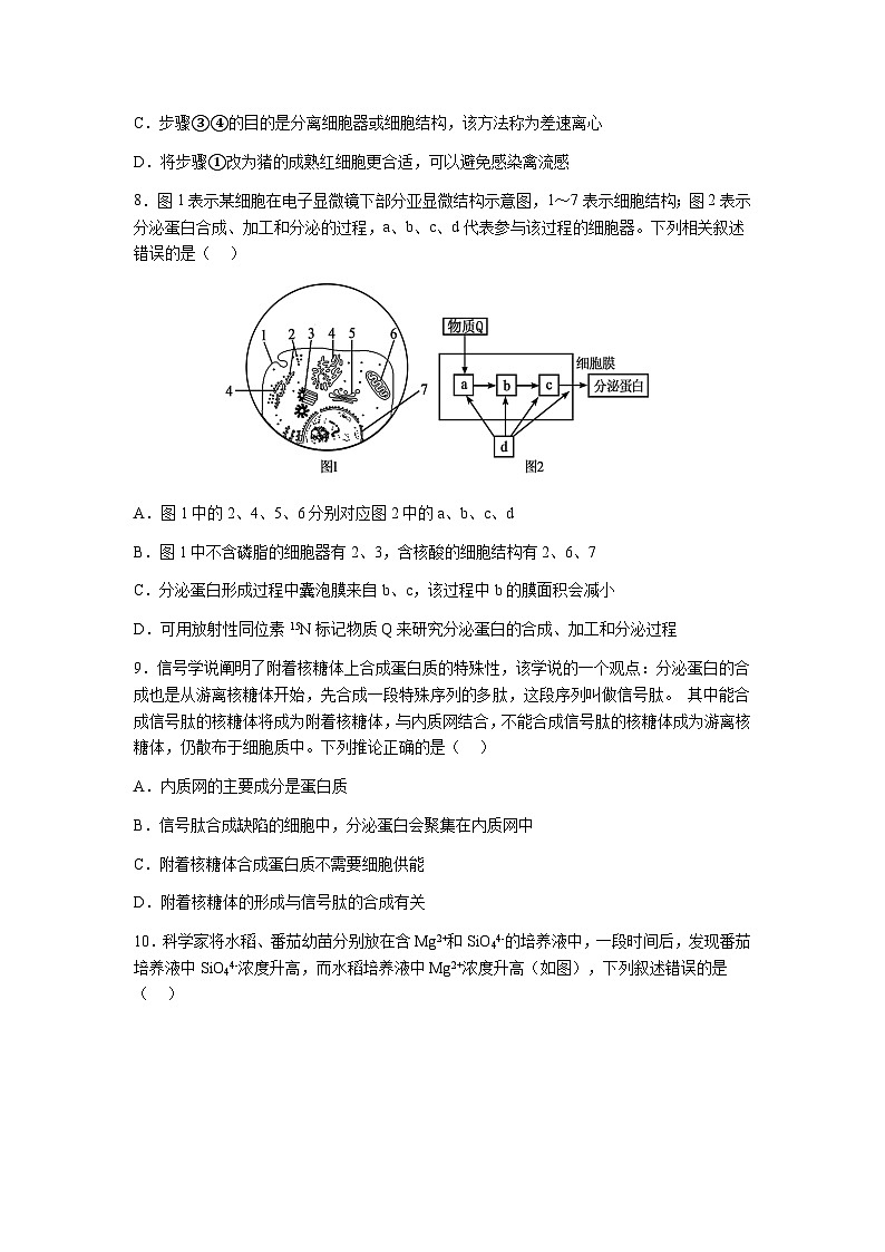 荆州中学2024级12月月考生物试卷第3页