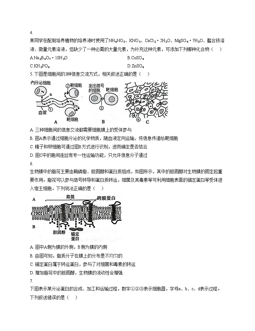 湖北省十堰市八校教联体学校2025_2026学年高一上学期12月期中生物试题(文字版含答案)第2页
