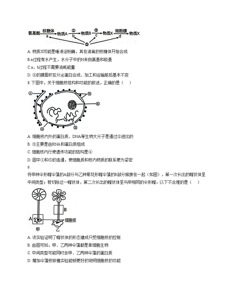 湖北省十堰市八校教联体学校2025_2026学年高一上学期12月期中生物试题(文字版含答案)第3页