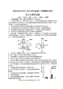 陕西省西安市新城区陕西省西安中学2025-2026学年高三上学期1月期末生物试题
