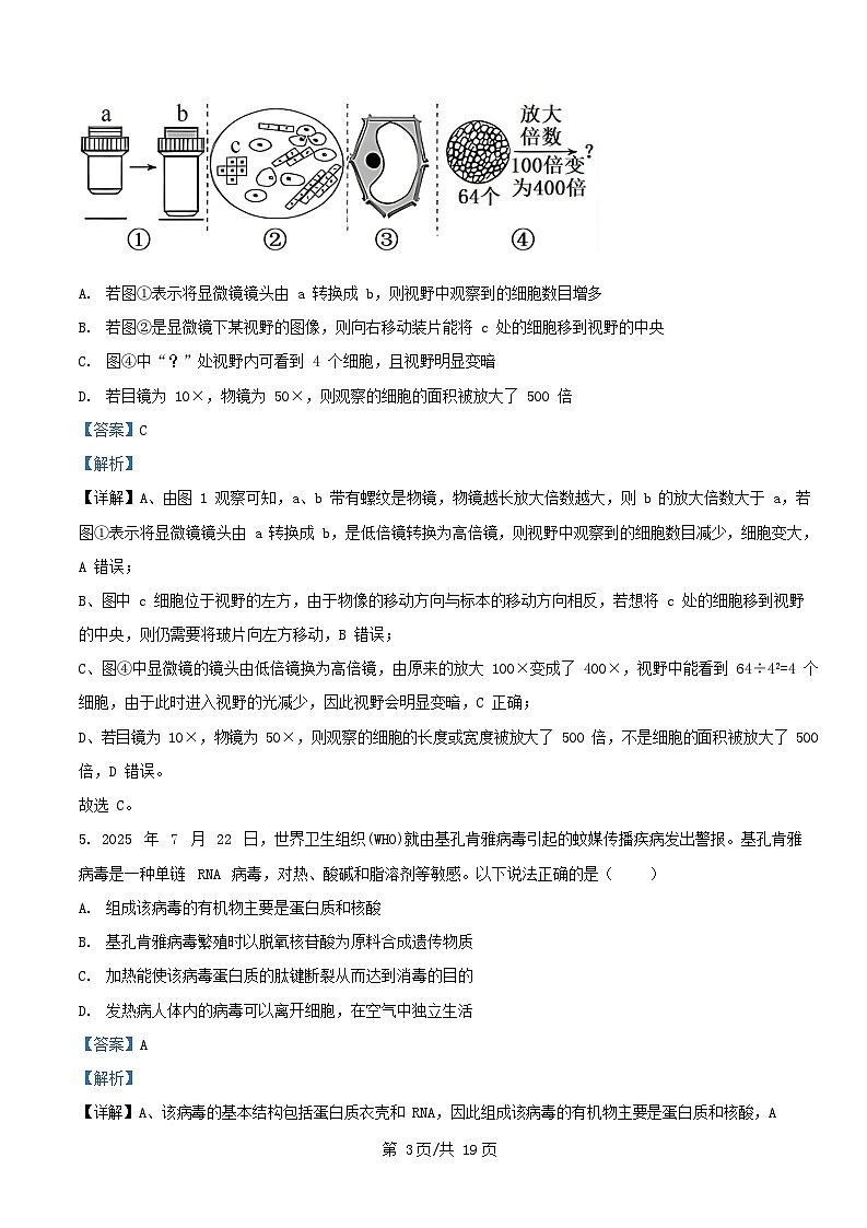 广东省茂名市2025_2026学年高一生物上学期10月期中试题含解析第3页