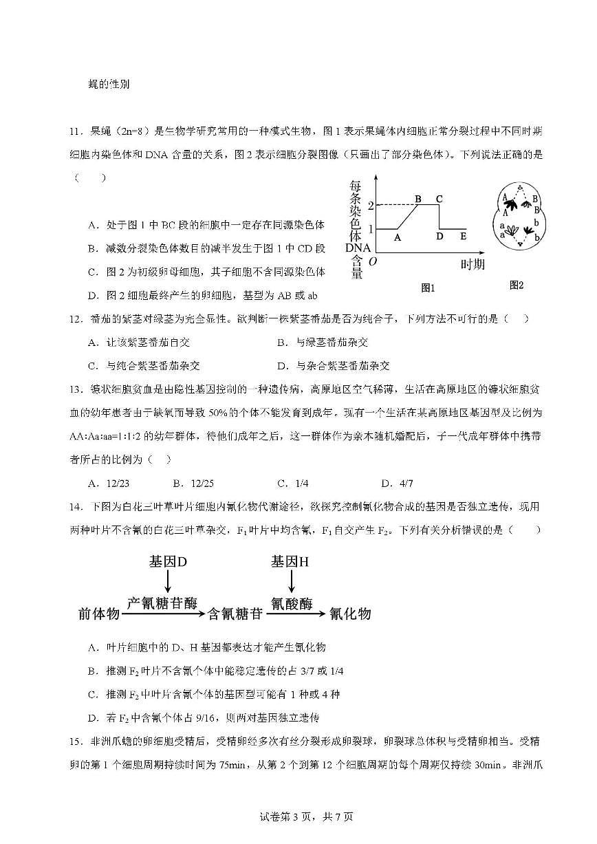 2024-2025学年广东省肇庆市端州中学高一下学期期中考试生物试题(含答案)第3页