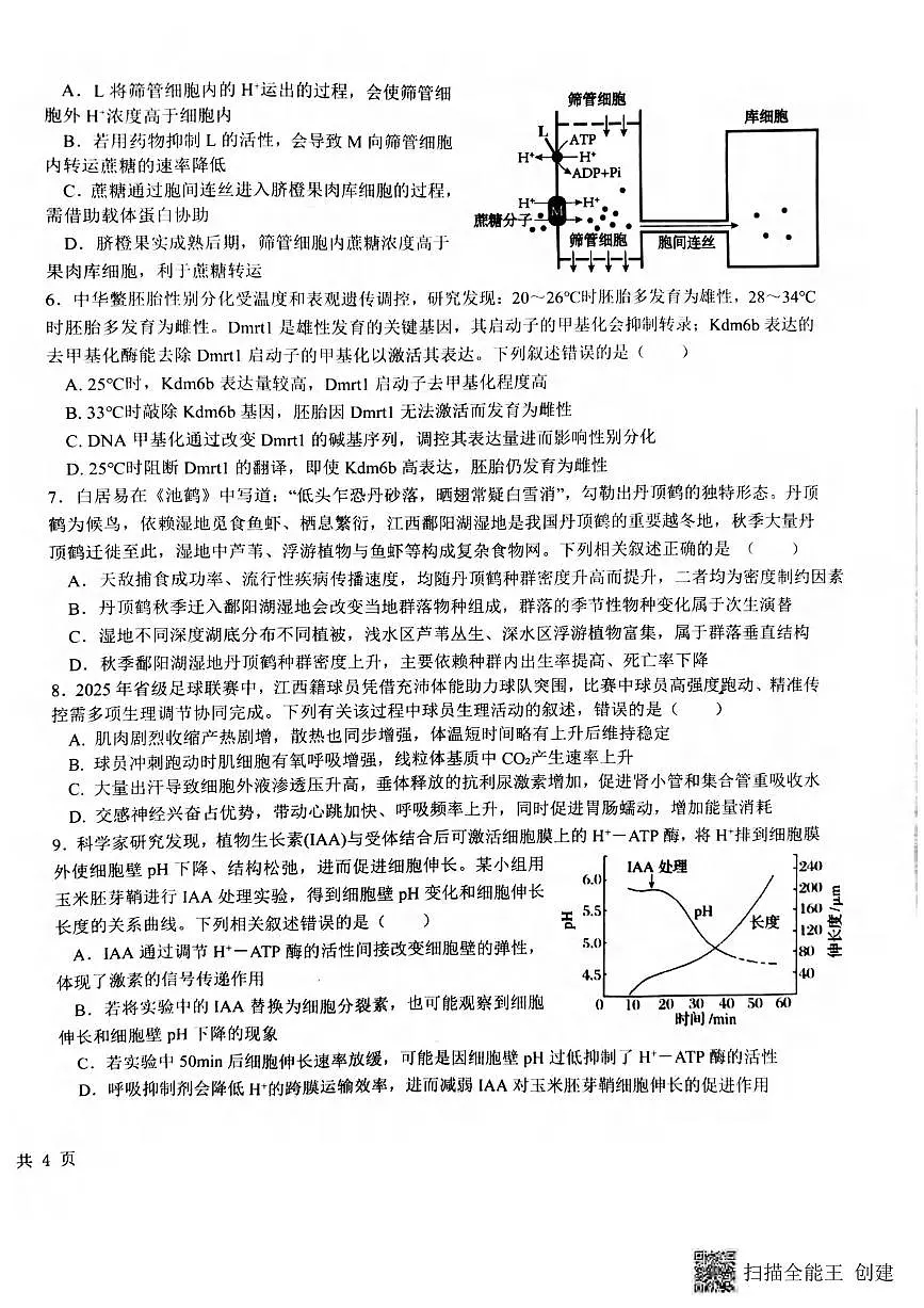 生物丨江西省五市十校协作体2026届高三上学期1月期末阶段性作业试卷及答案第2页