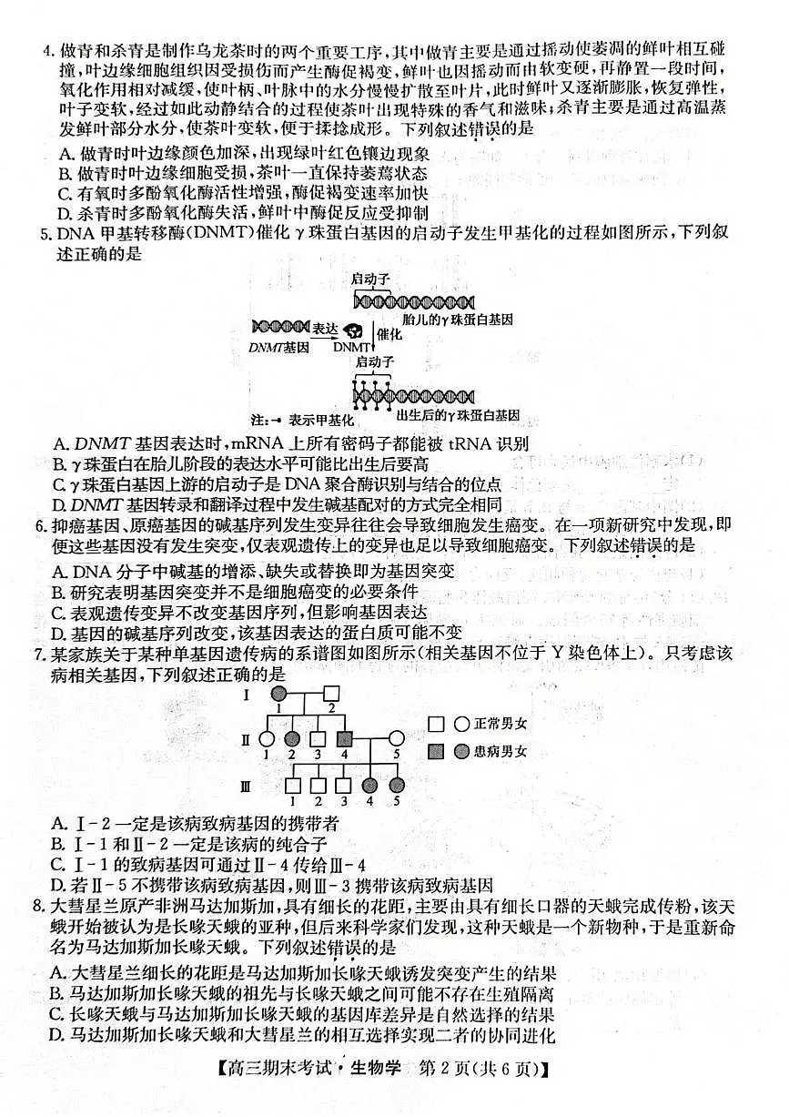 甘肃省酒泉市普通高中2025~2026学年度高三年级上学期期末考试生物试卷(无答案)第2页