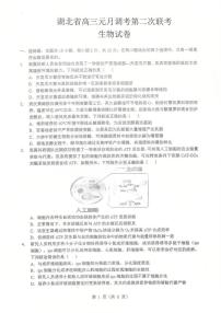 2026年湖北省高三上学期1月生物第二次联考试题及答案