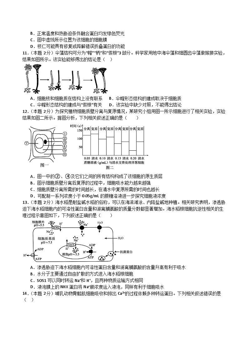 湖南省邵阳市第二中学2025-2026学年高一上学期12月学科竞赛生物试题(Word版附答案)第3页
