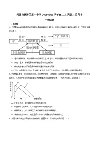 天津市静海区第一中学2025-2026学年高二上学期12月月考生物试题（Word版附答案）
