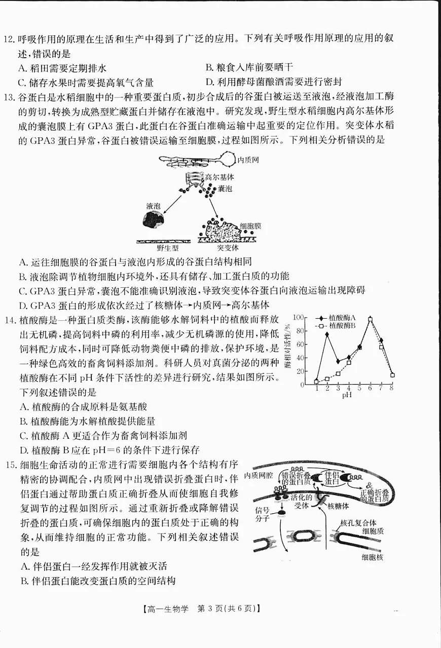 广西部分学校2024-2025学年高一上学期12月阶段性考试生物试题(无答案)第3页
