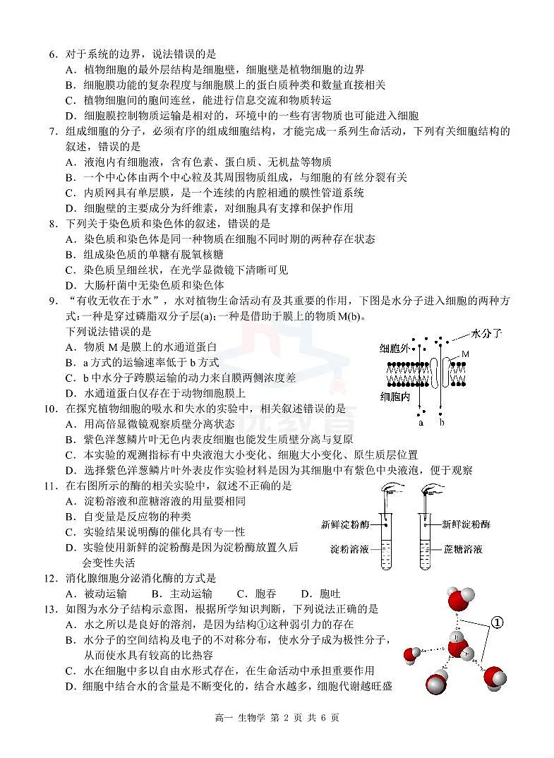 广西河池市2024-2025学年高一上学期12月联盟考试生物试卷(无答案)第2页