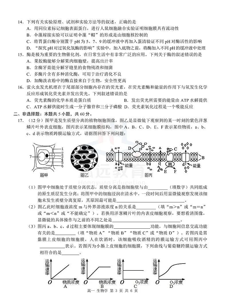 广西河池市2024-2025学年高一上学期12月联盟考试生物试卷(无答案)第3页