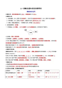 人教版 (2019)必修1《分子与细胞》核酸是遗传信息的携带者课时作业