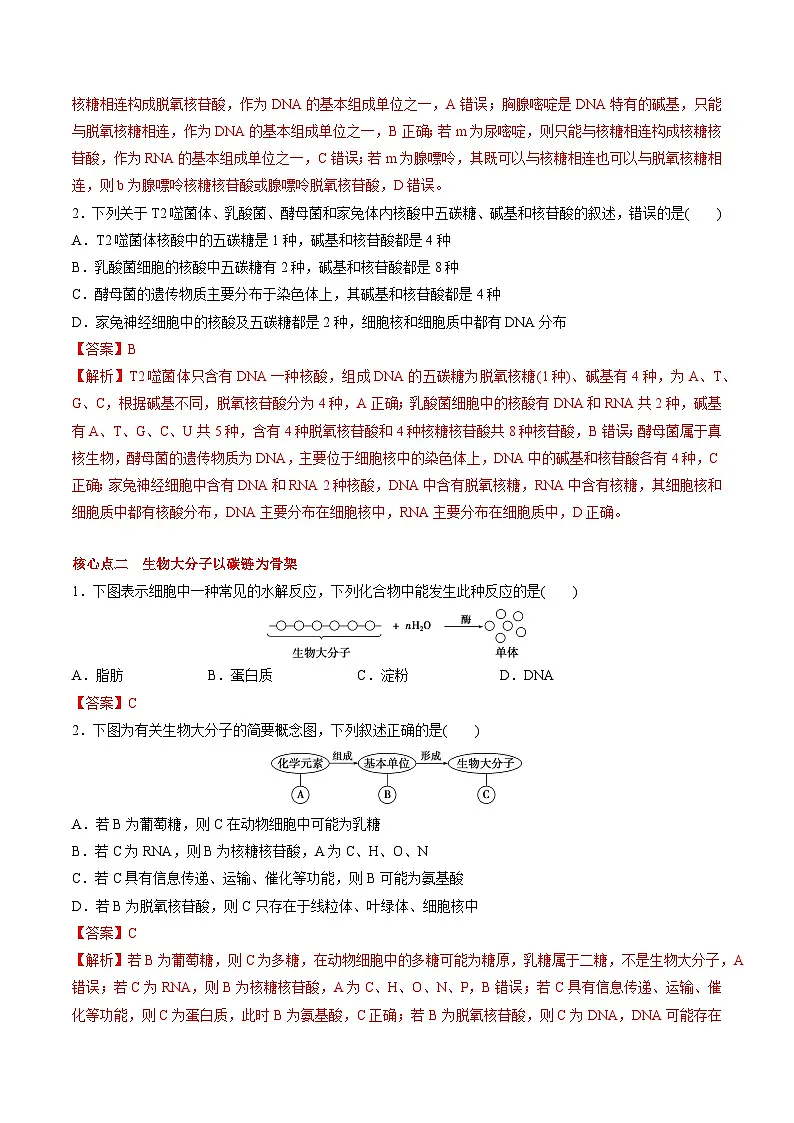 2.5 核酸是遗传信息的携带者(课后练习)--2025-2026学年高一上学期《生物》(人教版)必修1第3页