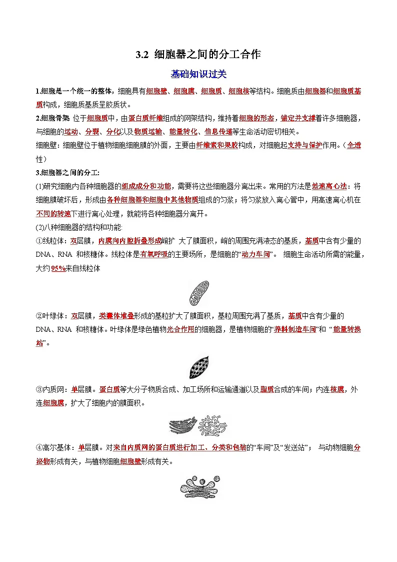 3.2 细胞器之间的分工合作(课后练习)--2025-2026学年高一上学期《生物》(人教版)必修1第1页