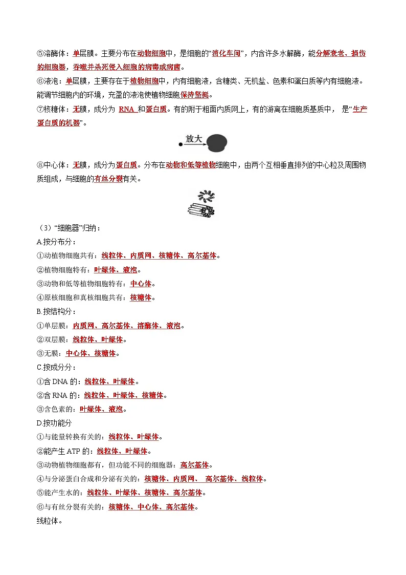 3.2 细胞器之间的分工合作(课后练习)--2025-2026学年高一上学期《生物》(人教版)必修1第2页