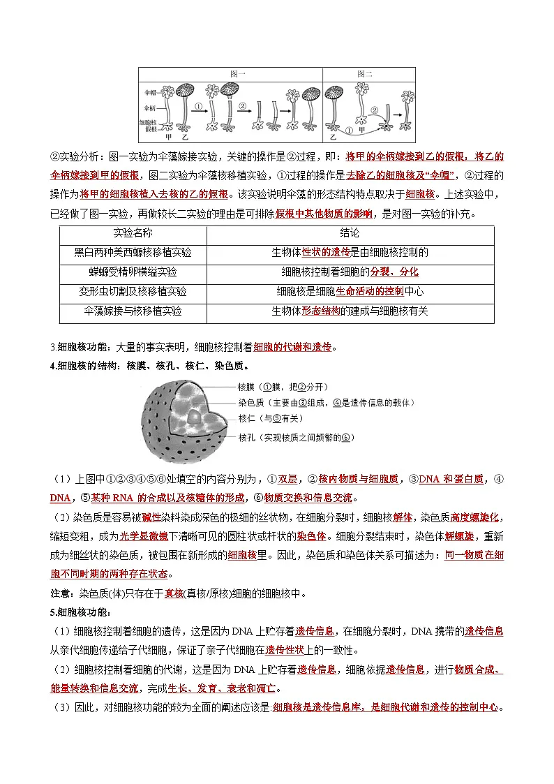 3.3 细胞核的结构和功能 课后练习--2025-2026学年高一上学期《生物》(人教版)必修1第2页