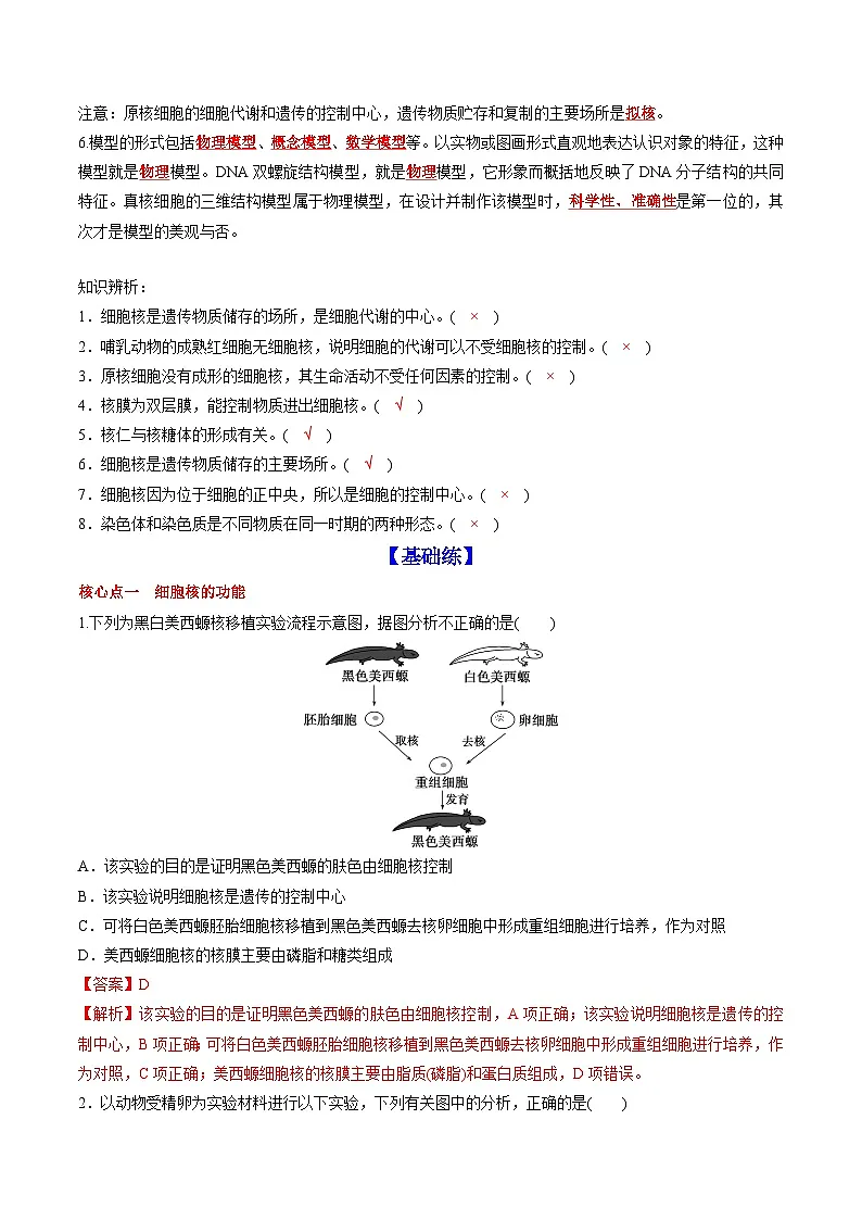 3.3 细胞核的结构和功能 课后练习--2025-2026学年高一上学期《生物》(人教版)必修1第3页