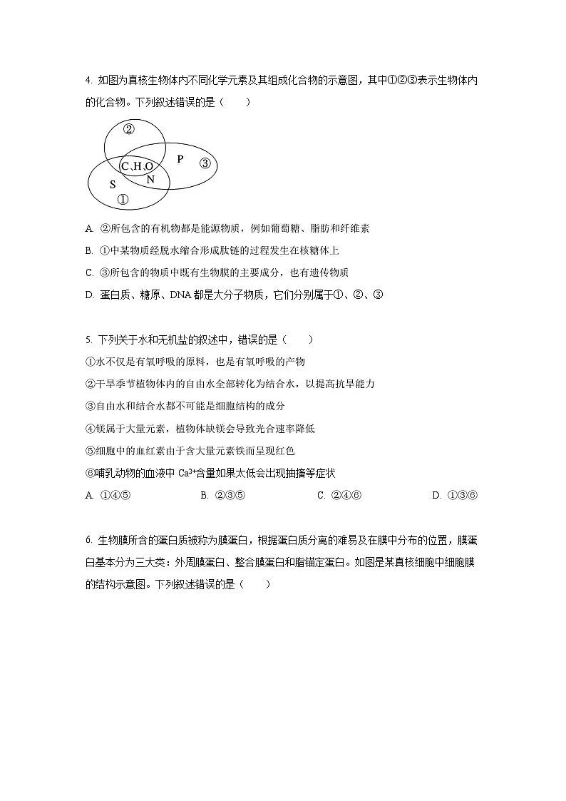 河南省濮阳市2024-2025学年高一上学期1月期末考试生物试题(Word解析版)第2页