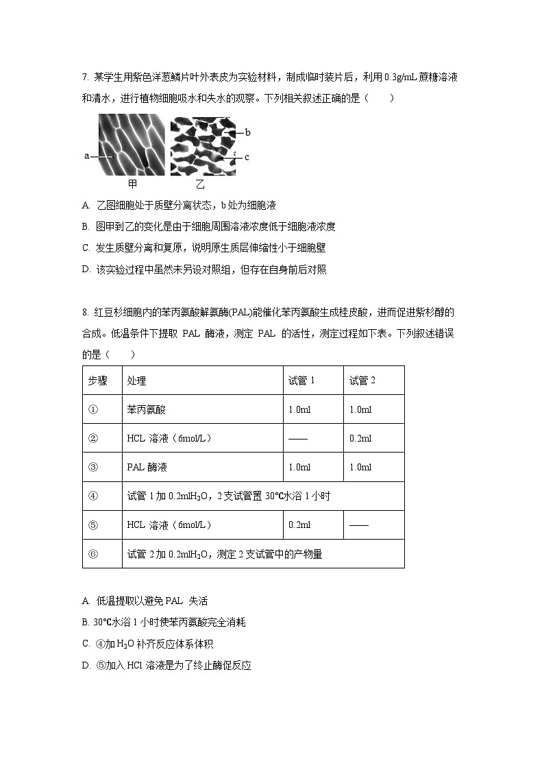 湖南省益阳市普通高中质量检测2024-2025学年高一上学期1月期末考试生物试题(Word解析版)第3页