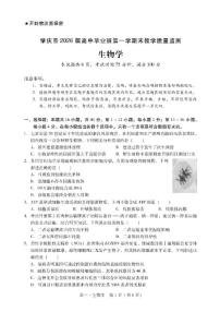 2026届广东省肇庆市高三第一学期生物期末教学质量监测（含答案）