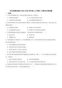 2026届河北省雄安新区高三上学期1月期末考试生物试卷(含答案)