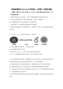 2024-2025学年河南省濮阳市高一上学期1月期末考试生物试题（含答案）