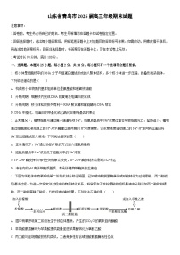 2026届山东省青岛市高三年级期末生物试卷（学生版）