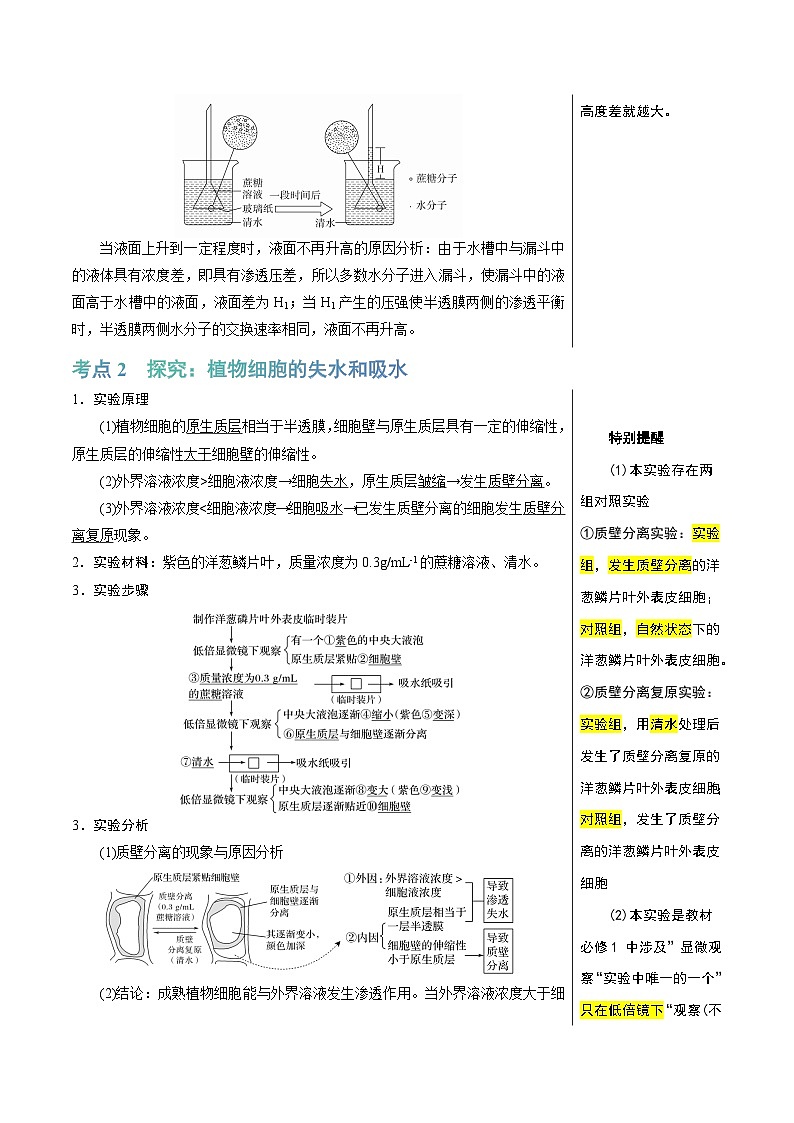 细胞的物质输入和输出(3大考点+6个易错点)-高考生物一轮复习知识清单第2页