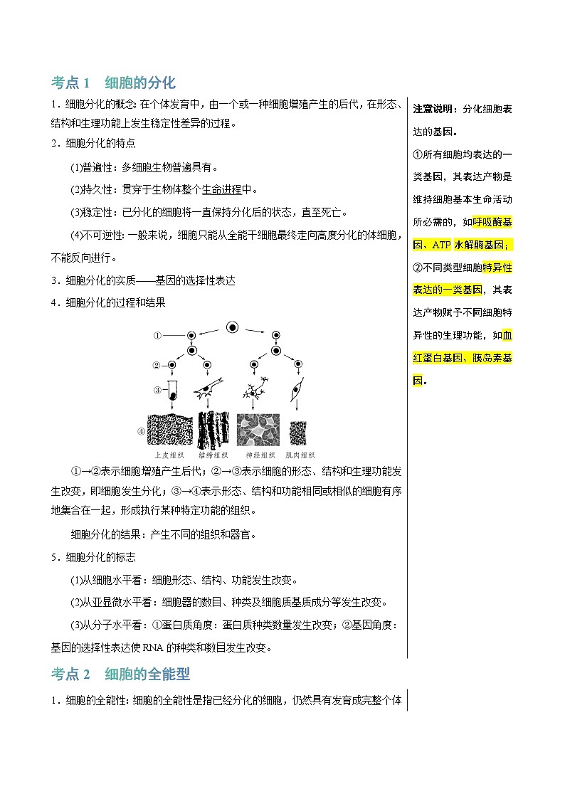 细胞的分化、衰老和死亡(4大考点+5个易错点)-高考生物一轮复习知识清单第2页