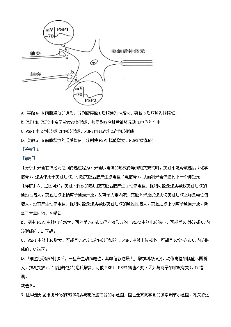 天津市河西区2024—2025学年高二上学期期末考试生物试题 含解析第2页