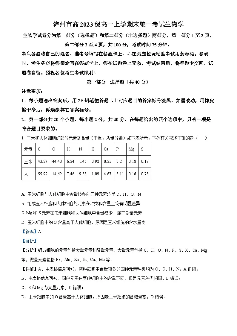 四川省泸州市2023-2024学年高一上学期1月期末生物试题 含解析第1页