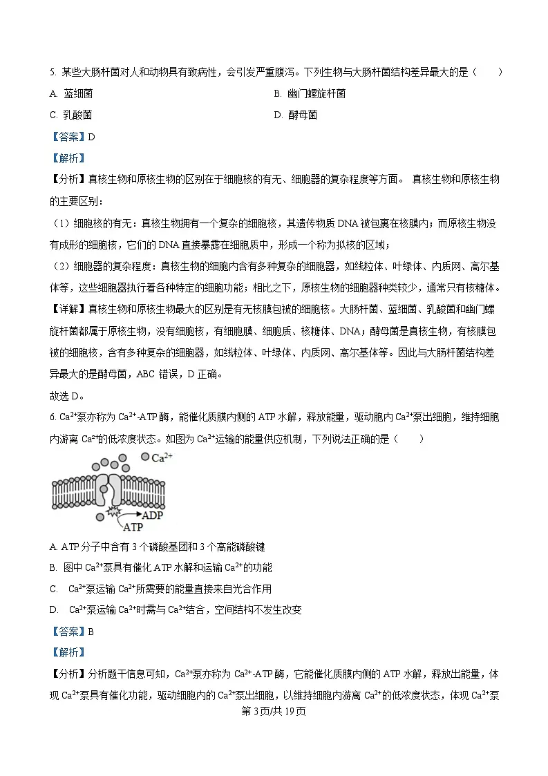 浙江省衢州市2024-2025学年高一上学期期末教学质量检测生物试卷 含解析第3页