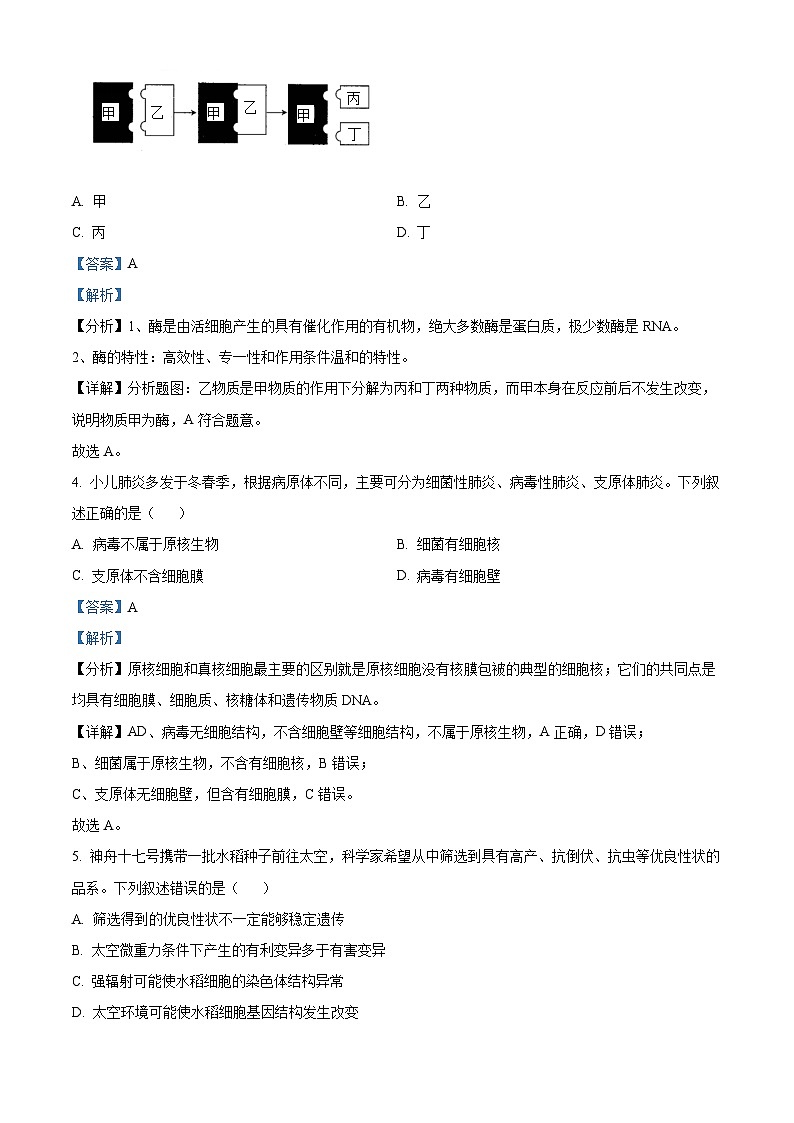 浙江省嘉兴市2023-2024学年高一下学期期末生物试卷 含解析第2页