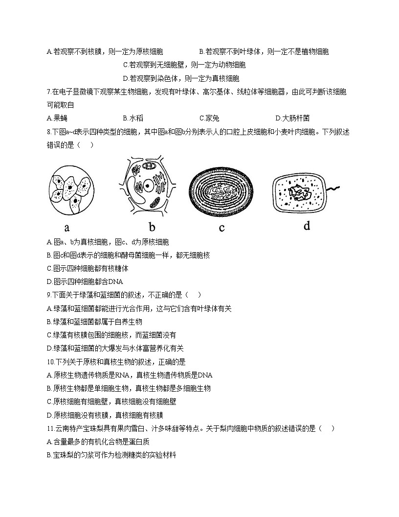 天津市滨海新区油田三中2025_2026学年高一上学期第一次月考生物试卷(文字版,含答案)第2页