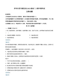 四川省泸州市龙马潭区2024-2025学年高二上学期11月期中生物试题  Word版含解析