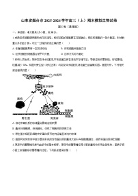 山东省烟台市2025-2026学年高三（上）期末模拟生物试卷