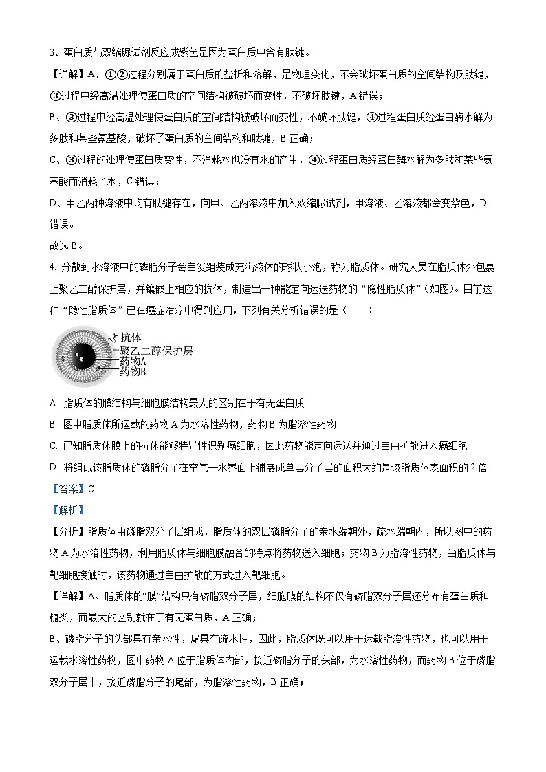 安徽省宿州市十三校联考2023-2024学年高一上学期期末生物试题 含解析第3页