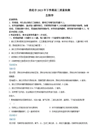 湖南省娄底市2023-2024学年高三1月期末生物试题 含解析