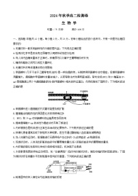 湖南省名校联盟2024-2025学年高二上学期12月联考生物试题（含答案）