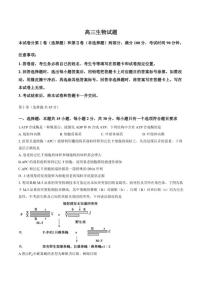 2025-2026学年山东省德州市上学期高三期末生物试卷（含答案）