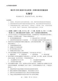 生物丨广东省肇庆市2026届高三上学期1月期末教学质量监测（肇庆二模）试卷及答案