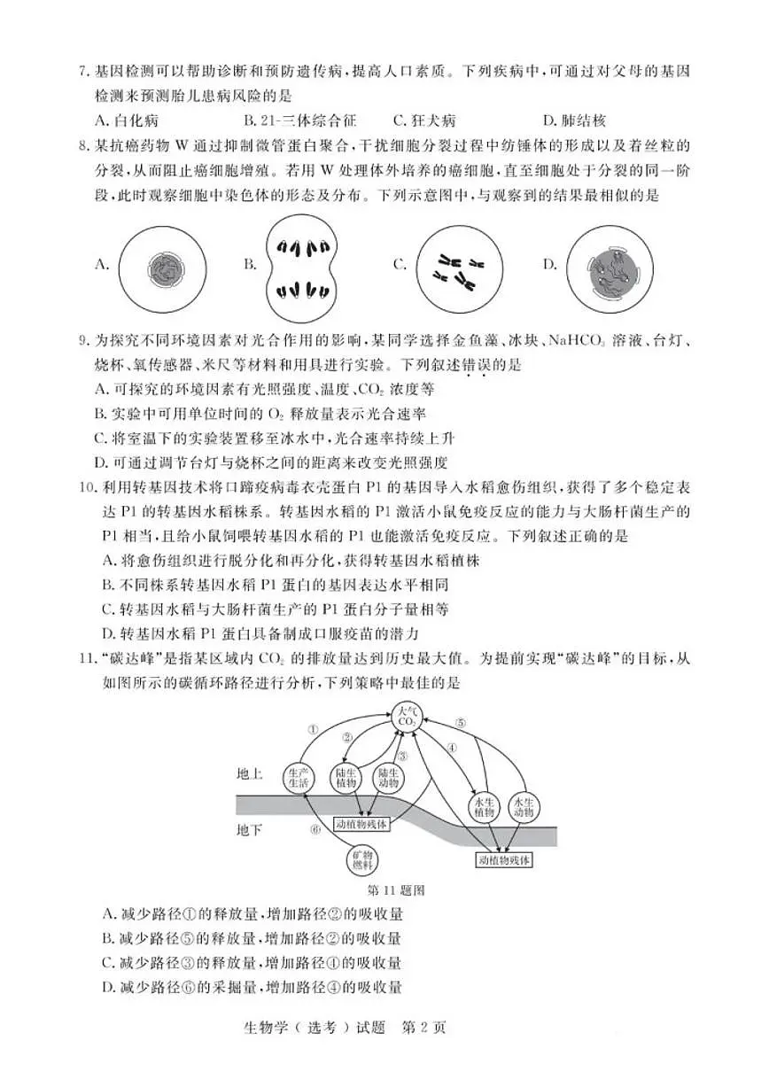 2026年1月浙江省普通高校招生选考科目考试生物学试题(含答案)第2页